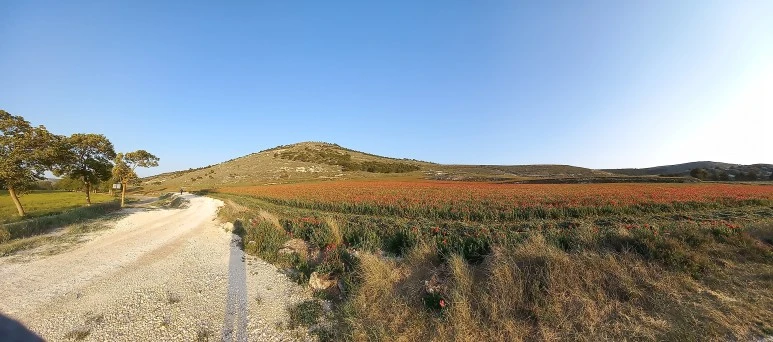 20230519_075259.jpg?type=w773