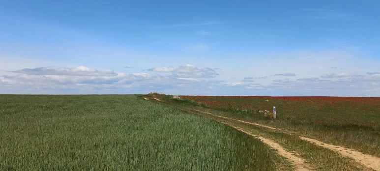 SE-5889e813-21b3-4bd7-b59b-ac1f901fbcad.jpg?type=w773