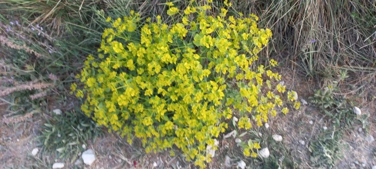 20230519_071038.jpg?type=w773