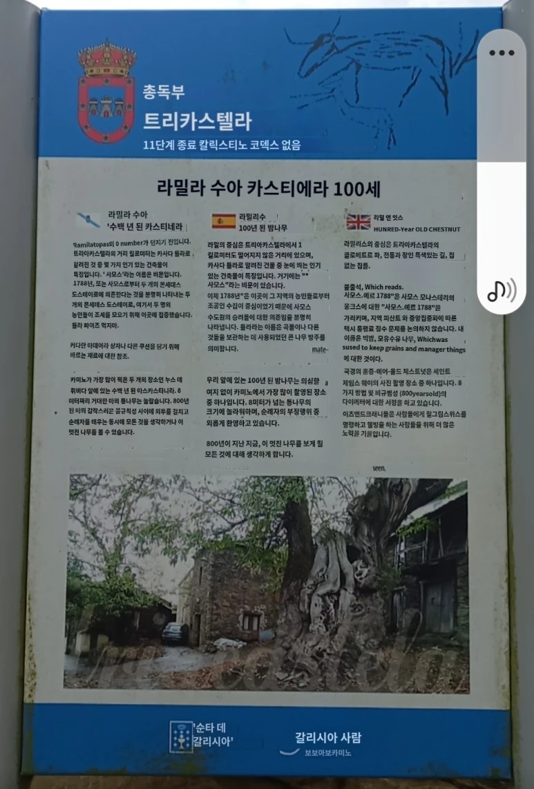 SE-61123f8b-e5b8-4527-88e3-954edd7983ad.jpg?type=w773