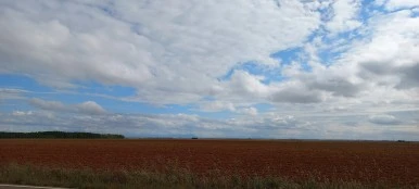 20230523_101730.jpg?type=w386