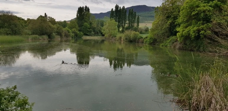 1683650304843.jpg?type=w773