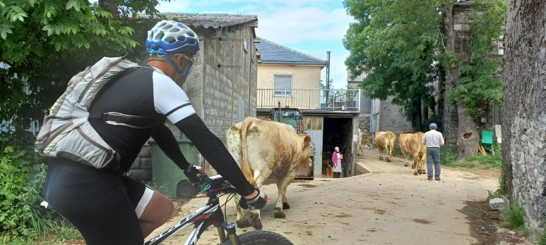 SE-d0f7a0e9-9310-4d80-ac5a-8d4ca4e419d5.jpg?type=w773