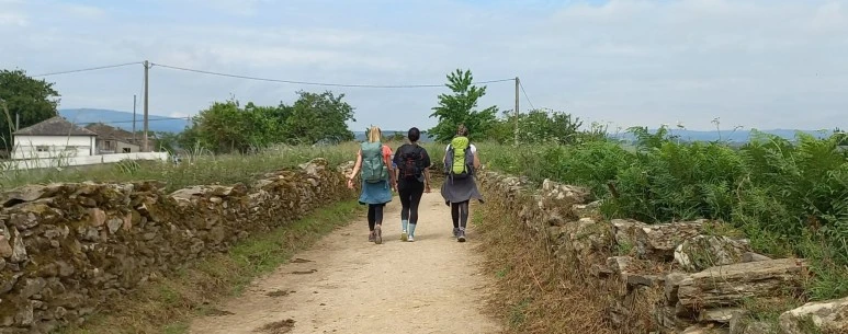 SE-2f3169c6-062e-43ea-ad65-2813a39e3359.jpg?type=w773