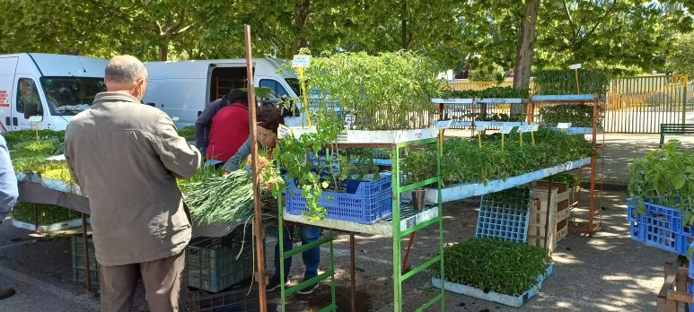 20230517_125558.jpg?type=w773