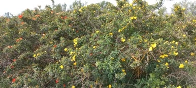 20230520_100323.jpg?type=w386