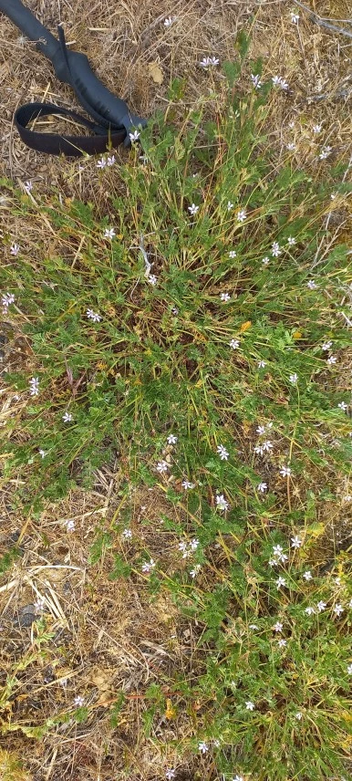 20230520_115251.jpg?type=w386