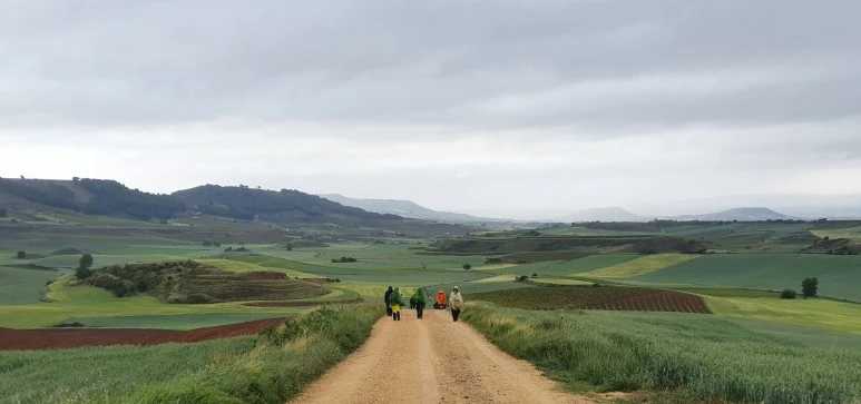 SE-587ef7ce-074d-4c8d-a13d-1528082e7dca.jpg?type=w773