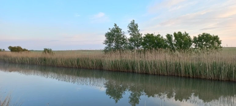 20230520_071859.jpg?type=w773