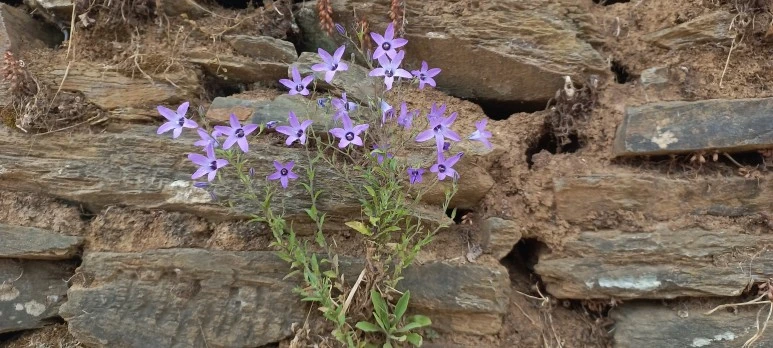 20230602_133908.jpg?type=w773