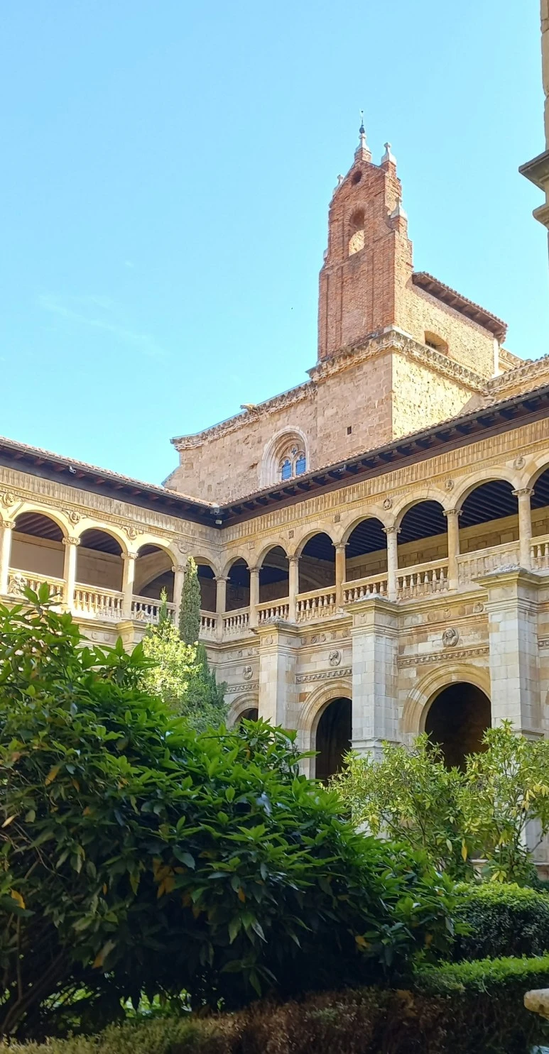 SE-0e3a11c1-ef94-4cc9-9173-31c95a85ab50.jpg?type=w773