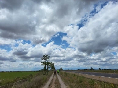 1685115477173.jpg?type=w386