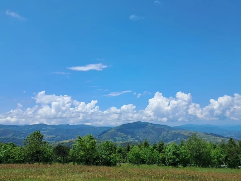 1685628684856.jpg?type=w773