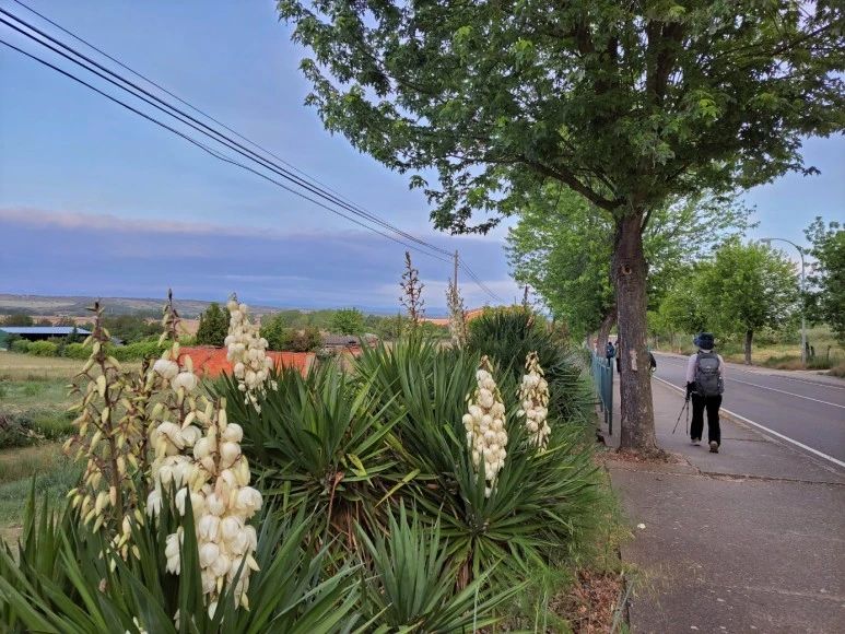 1685272744707.jpg?type=w773