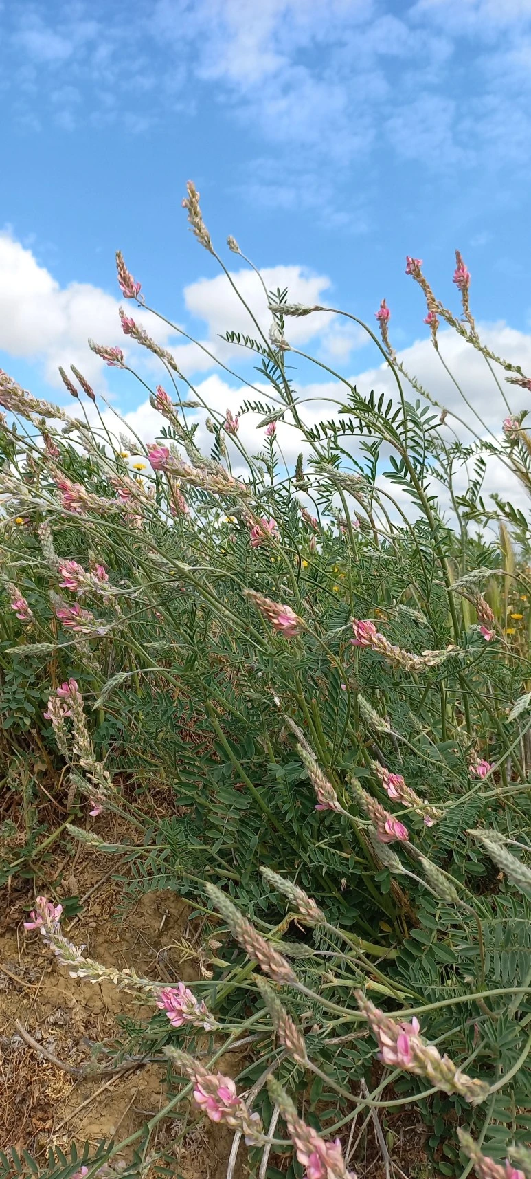 20230520_115133.jpg?type=w773