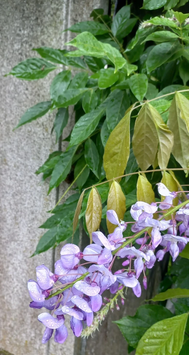 SE-baf1fd5b-3d74-445b-b903-00a6bd6177af.jpg?type=w773