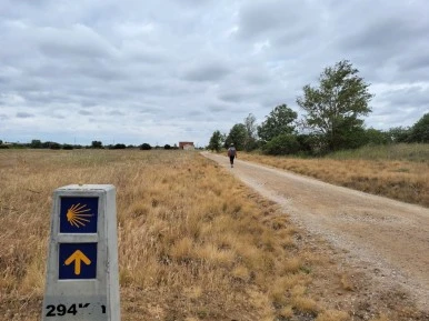 SE-12bbe4cb-a575-4572-8765-7c5274050525.jpg?type=w386