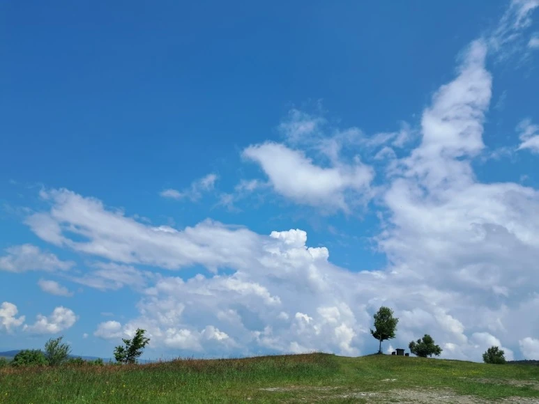 1685628684221.jpg?type=w773