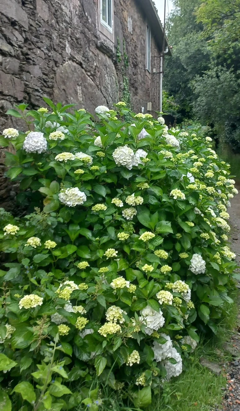 SE-9a19dd71-b85c-47f4-9218-afe9e40a01ee.jpg?type=w773