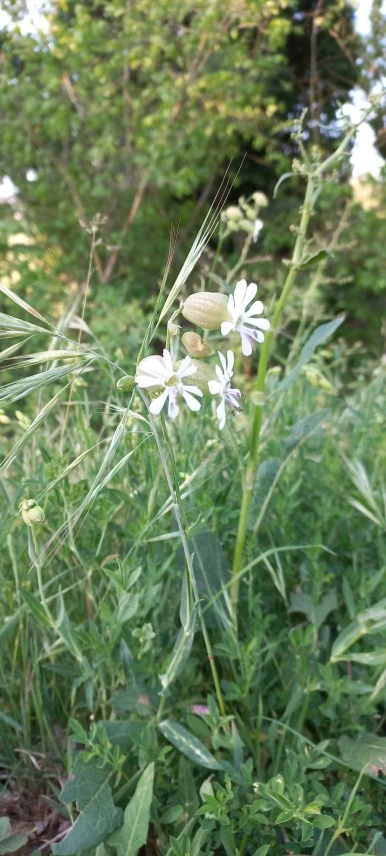 20230519_081700.jpg?type=w386