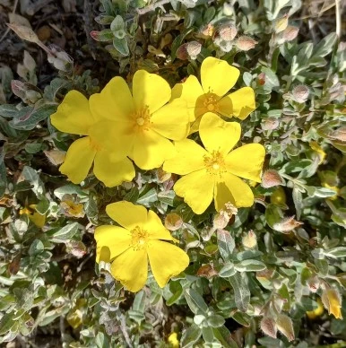 SE-8fc3651d-3694-492f-a462-fe6582cea665.jpg?type=w386