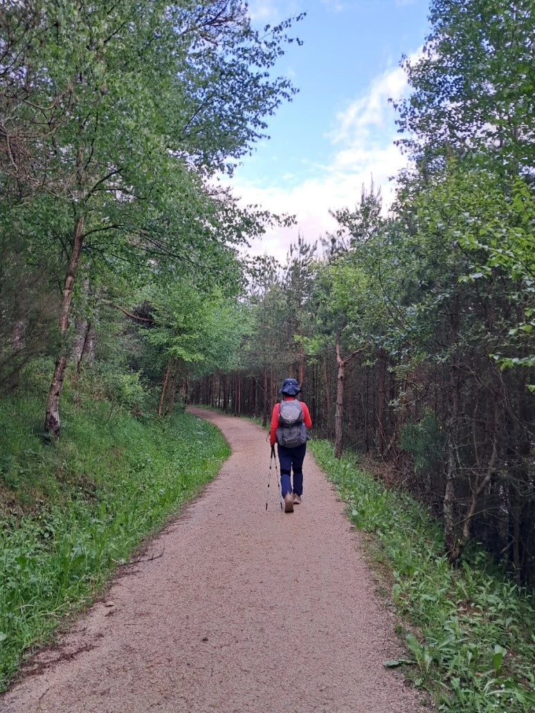 1685720687791.jpg?type=w773