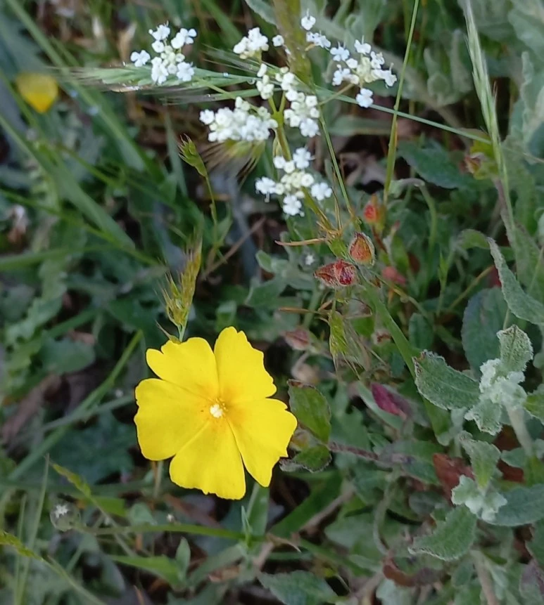 SE-b7bdebfc-9e49-4917-874e-1d369cf21541.jpg?type=w773