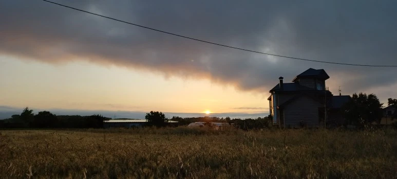 20230531_071249.jpg?type=w773