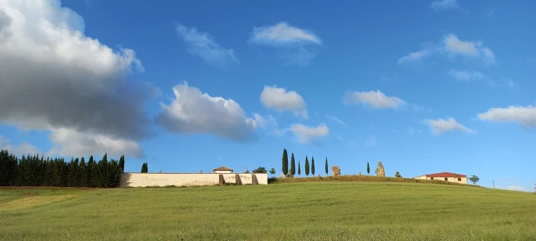 20230510_091813.jpg?type=w773