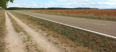 20230523_101759.jpg?type=w386