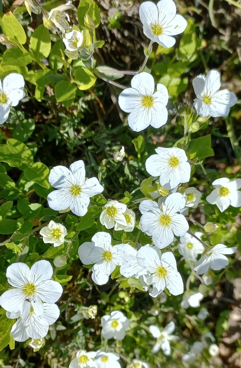 SE-eeef7cfc-88a7-49cb-8304-ba573fba538e.jpg?type=w773