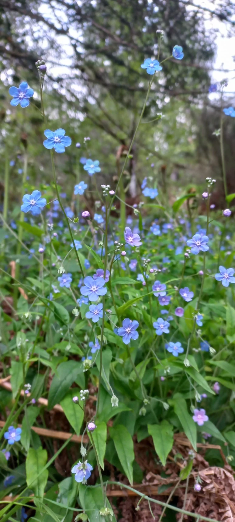 20230602_074521.jpg?type=w773