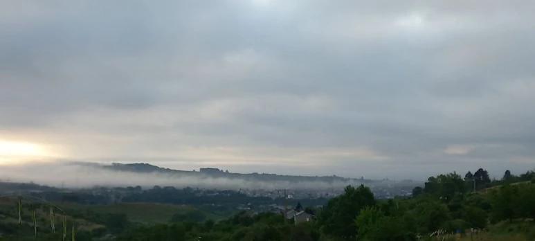 20230531_073900.jpg?type=w773