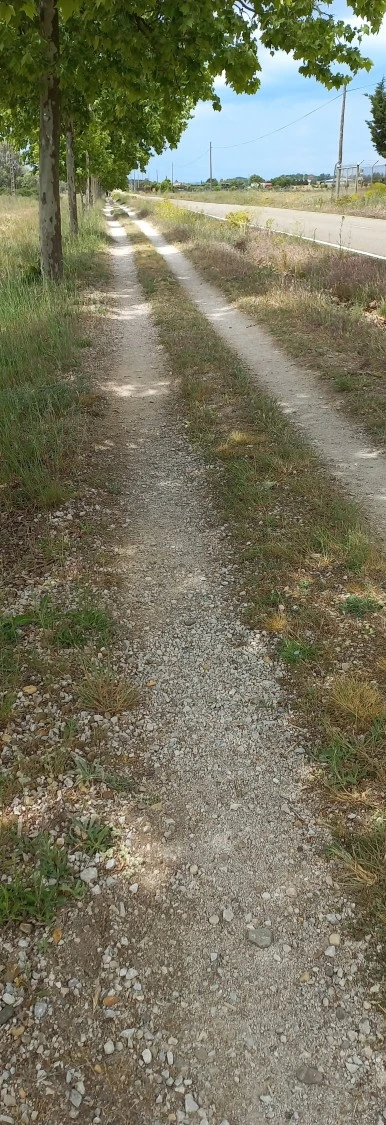 20230523_135942.jpg?type=w386