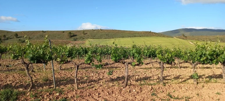 20230510_085401.jpg?type=w773