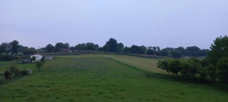 20230607_072646.jpg?type=w773