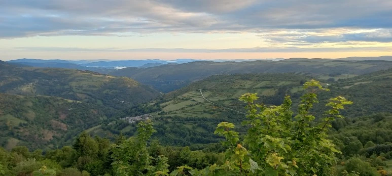 20230602_073036.jpg?type=w773