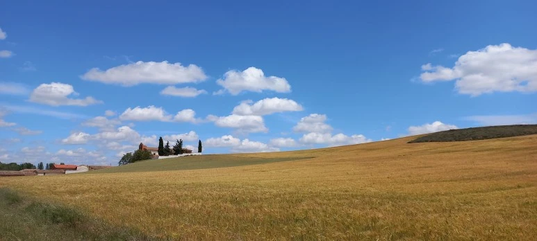 20230521_131525.jpg?type=w773