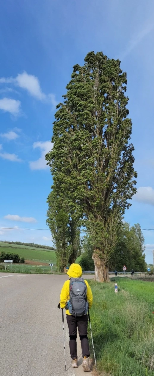 SE-aa73b730-d357-4fd1-92f0-f9b53d52d911.jpg?type=w773