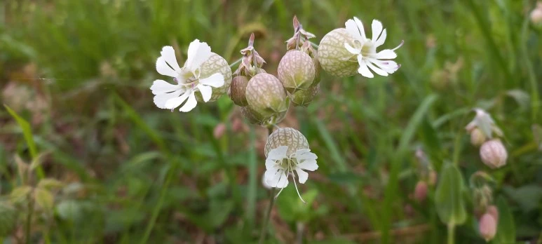 KakaoTalk_20230623_182653862_02.jpg?type=w773