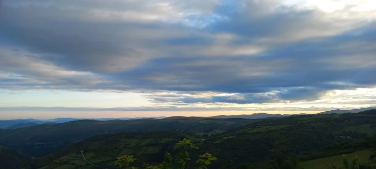 20230602_073040.jpg?type=w773