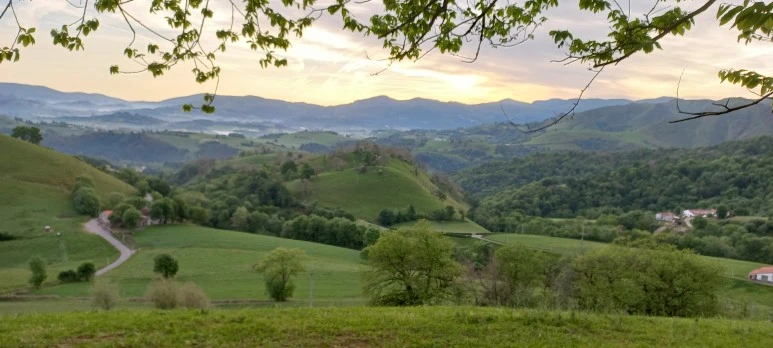 20230506_075620.jpg?type=w773