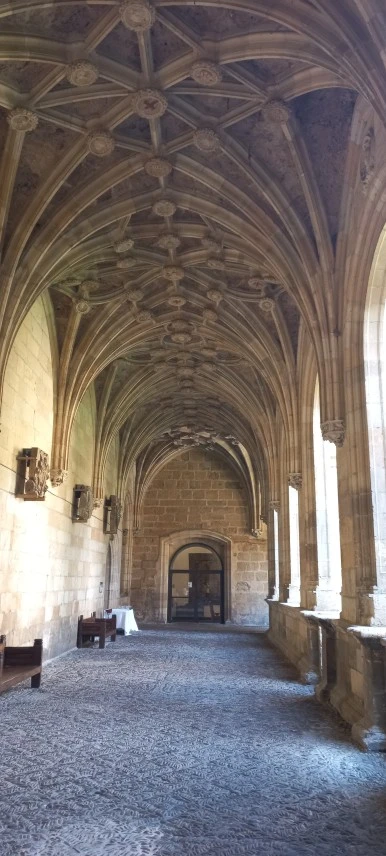 20230525_104618.jpg?type=w386