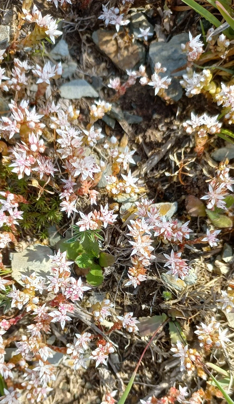 SE-e0fb4c6e-a1a5-48db-9551-4d7eae4e0038.jpg?type=w773