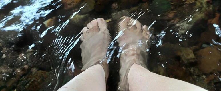 SE-f50f19c0-8919-472e-a6c9-c82726752f3f.jpg?type=w773