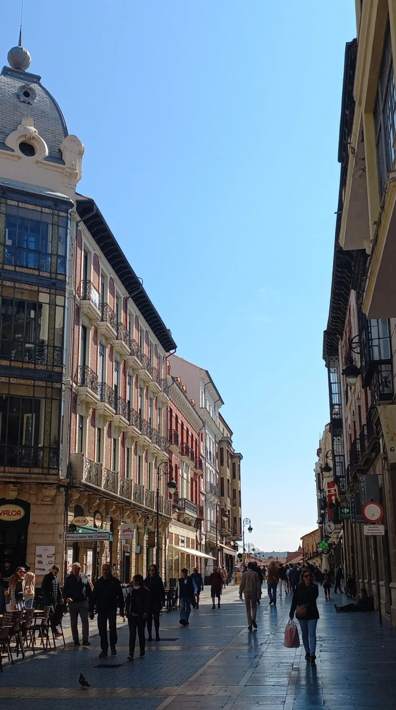 SE-522629a2-e5ed-42ae-a938-c8095425d0ba.jpg?type=w773