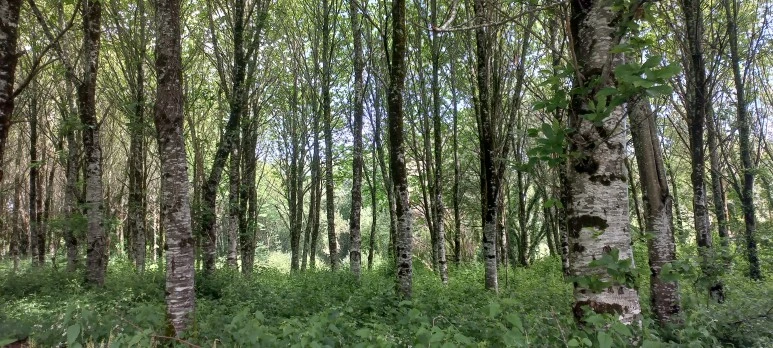 20230605_122847.jpg?type=w773