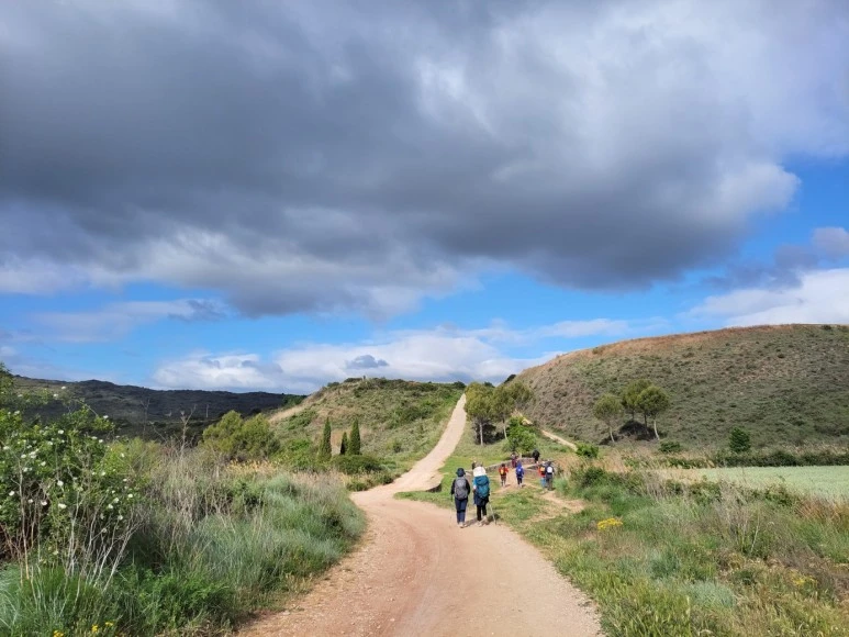 1683731088566.jpg?type=w773