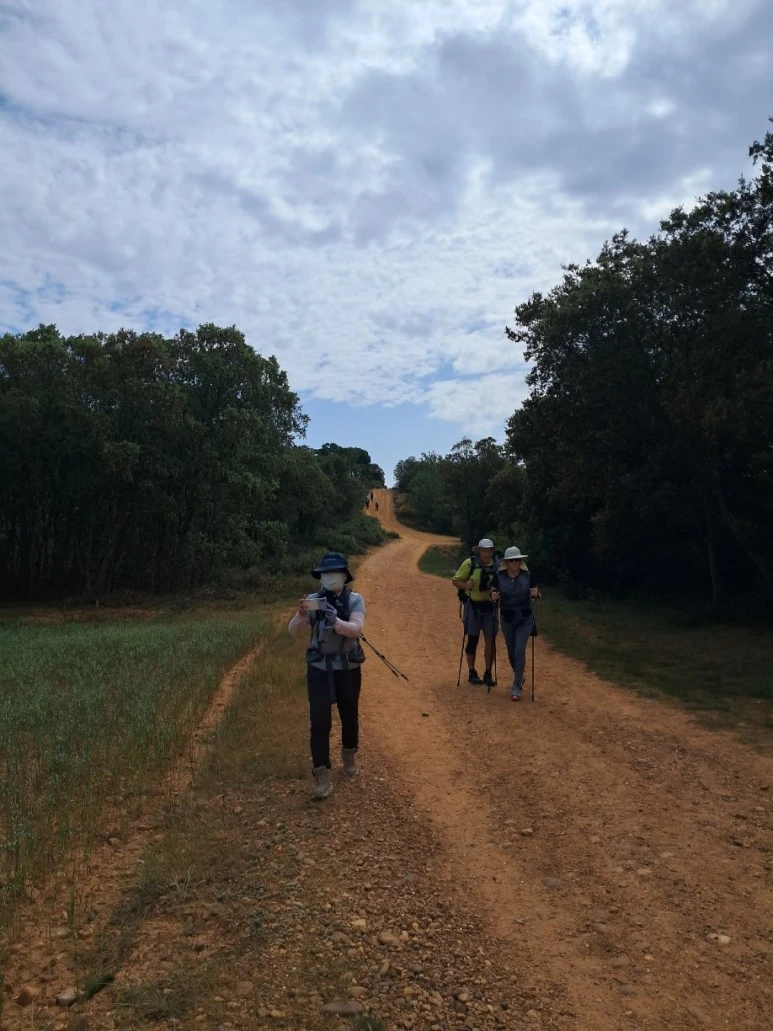 1685193581157.jpg?type=w773