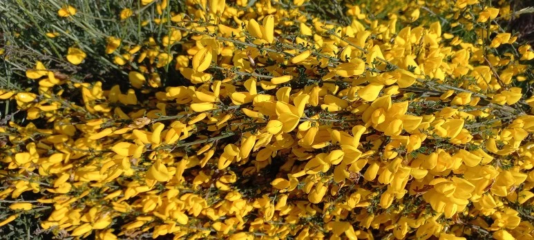 20230601_121541.jpg?type=w773